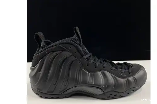 Anthracite 314996-001 Nike Air Foamposite One 0506